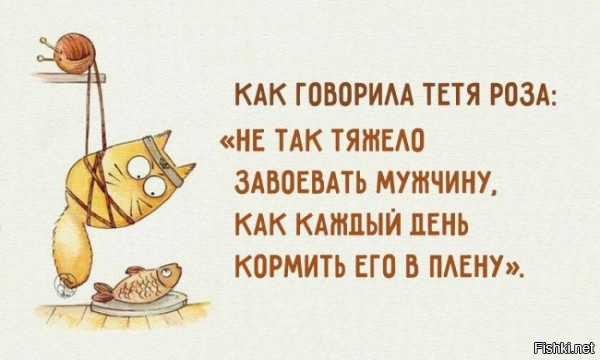 Солянка от 03.03.2026