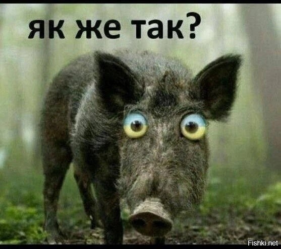 Это сотрудники "самой мощной организации в мире"