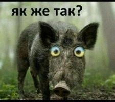 Это сотрудники "самой мощной организации в мире"