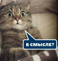 Пёс мешает своей хозяйке играть в Stray