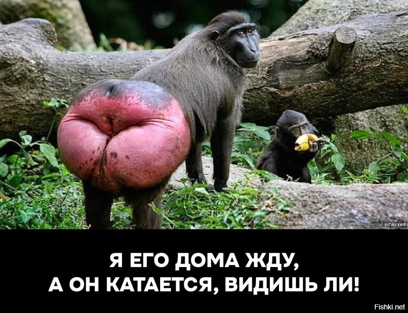Борзый пассажир хамит контролеру и пассажирам