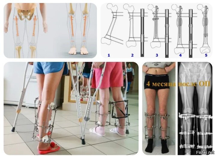 На общую тему 