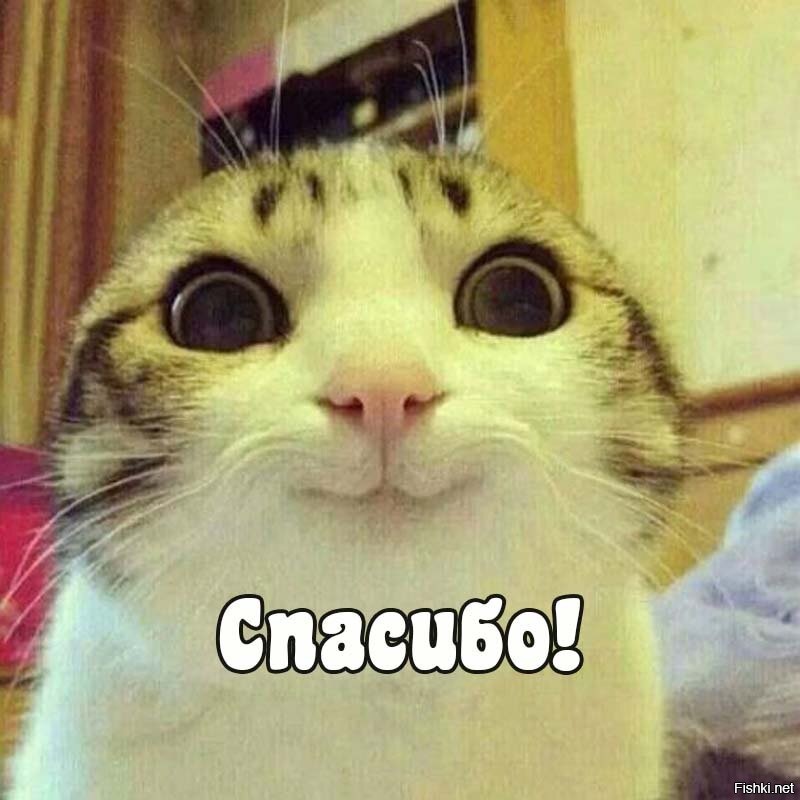 Намешалось