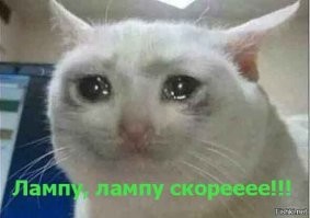 Встреча волка и зайца спустя годы