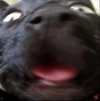 Класс!