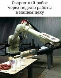 Разговор с дерзким роботом в Польше