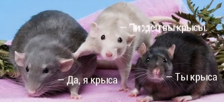 Все ближе к Шойгу: задержан Руслан Цаликов, экс-замминистра обороны – СК назвал его лидером мафии, воровавшим и в ходе СВО