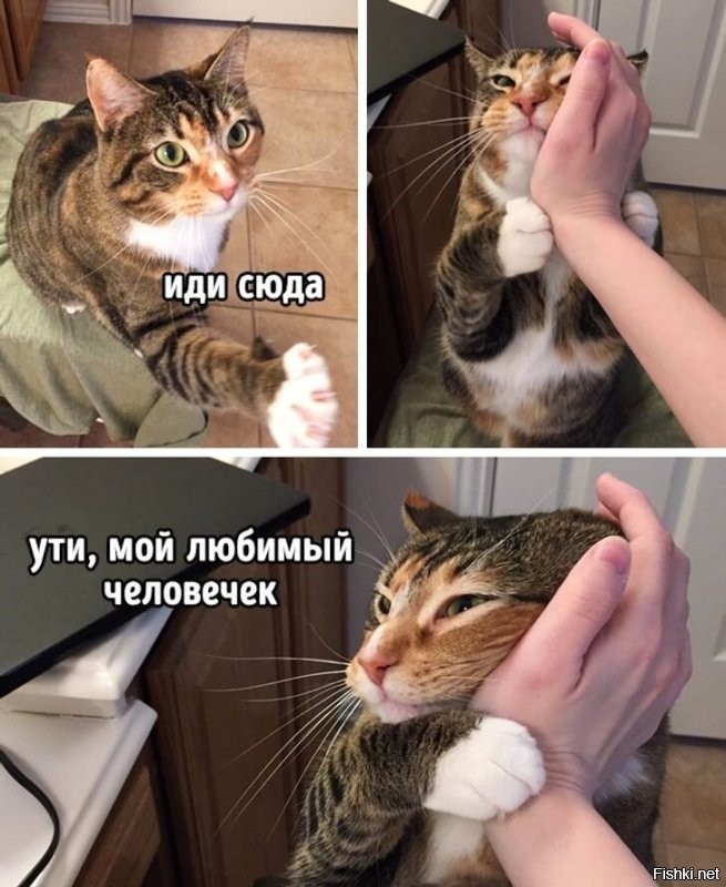 Доброго утра