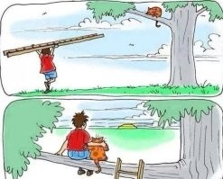 Спасение пошло не по плану
