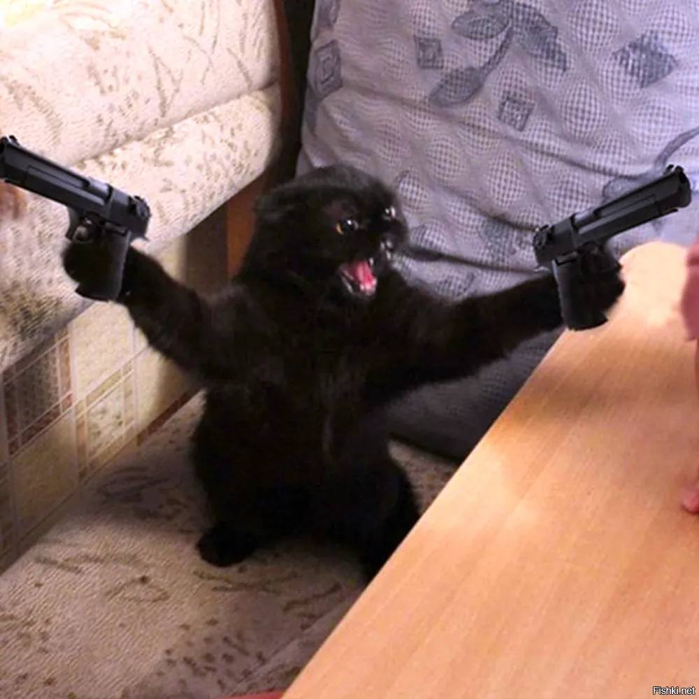 Злой и нервный клиент грумера