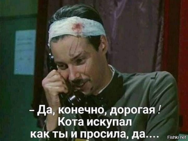 Злой и нервный клиент грумера