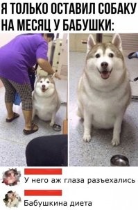 Весëлые картинки