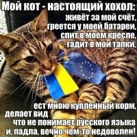Весëлые картинки