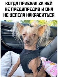 Скрины из соцсетей