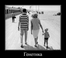 Весëлые картинки