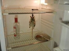 Весëлые картинки