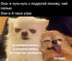 Скрины из соцсетей