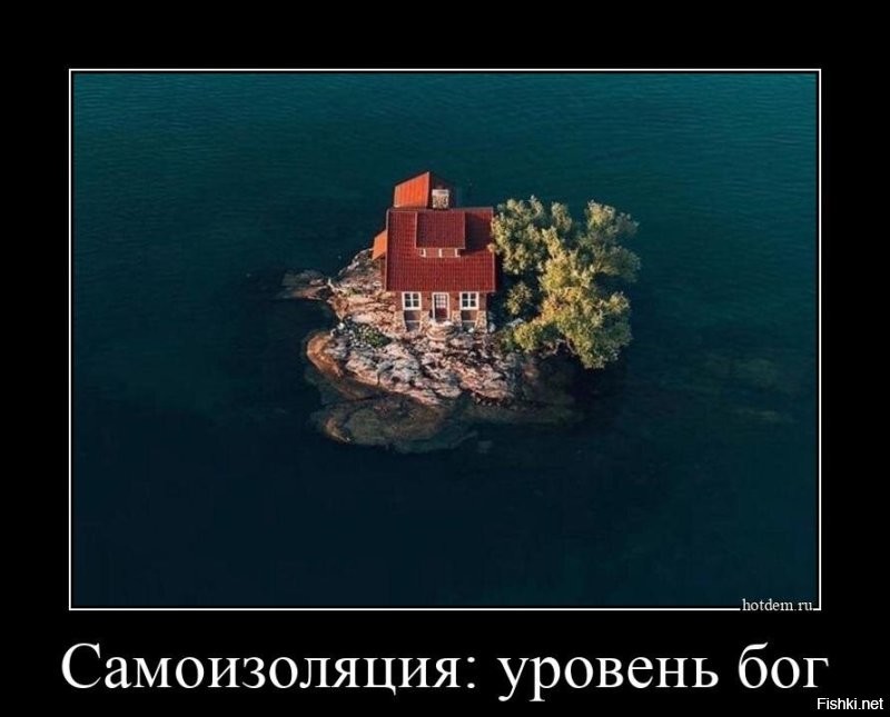 Скрины из соцсетей