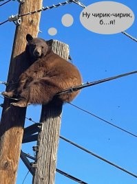 На общую тему&nbsp;