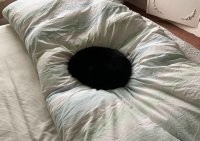 Чёрная дыра