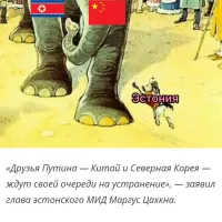 Лишь о политике и только о ней