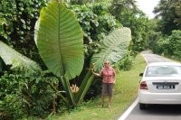 Я миллионер для тех кто поймёт