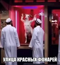 В Подмосковье неадекватный таксист-мигрант пытался силой затащить девушку в машину
