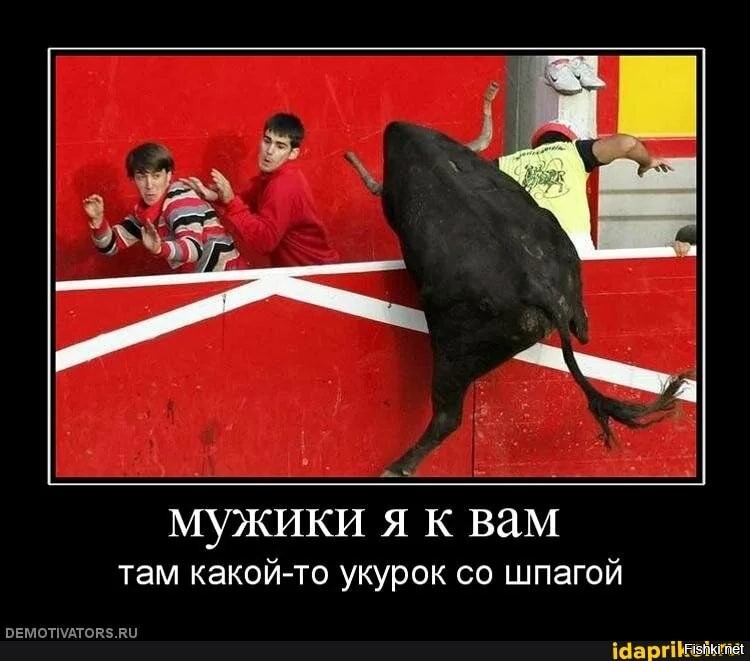 В Мексике тореадора сбил второй бык во время представления