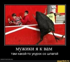 В Мексике тореадора сбил второй бык во время представления
