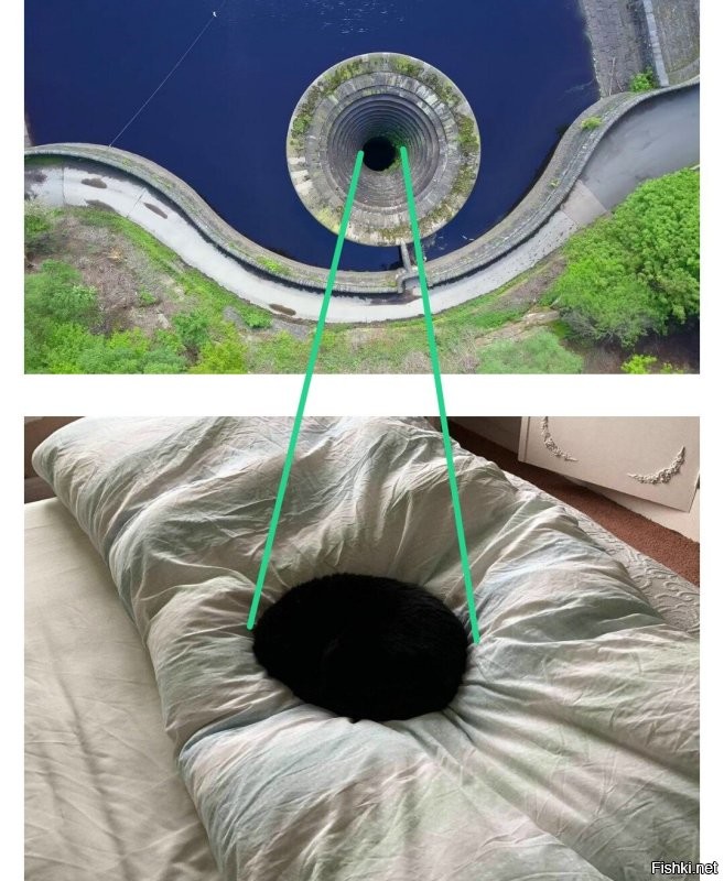 На общую тему&nbsp;