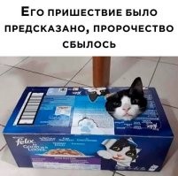 Пушистый контролёр