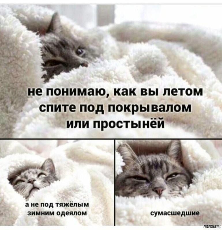Солянка от 07.03.2026