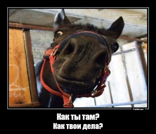 В Индии молодой человек погиб, делая экстремальное видео для соцсетей