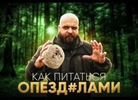 Три мифа о выживании в лесу, которые могут стоить жизни