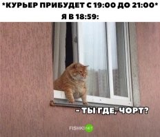 Марафон на выживание: эксперты развеяли мифы о сверхдоходах курьеров