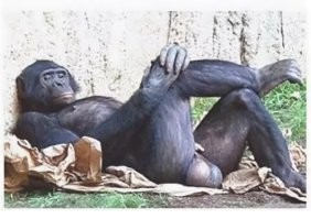 Самая высокая модель в мире встретилась с Шакилом О'Нилом