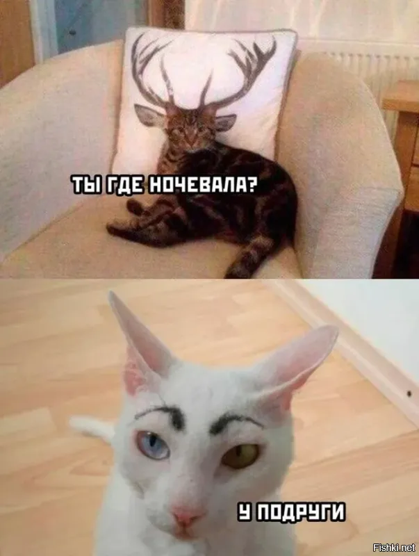 Доброе утро