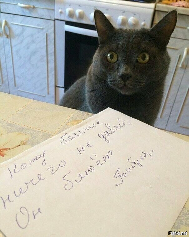 Большая тарелка улыбатора