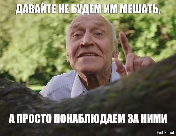 Массовая драка в женском баскетболе: арбитр — в нокауте, восемь девушек — отстранены