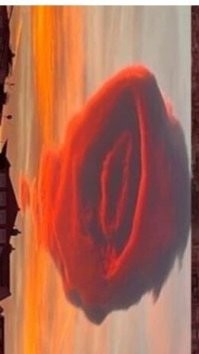 Мужчина протаранил бывшую жену и её друзей, которые ужинали в&nbsp;кафе