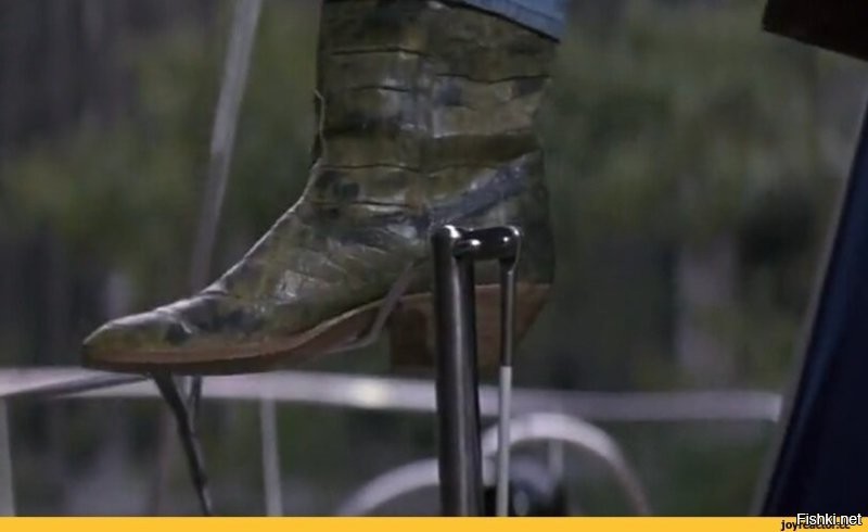 Гребнистый крокодил: так вырос, что ушёл в океан