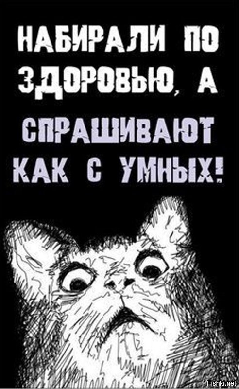 Солянка от 10.03.2026