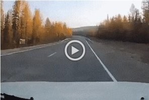 Складывается ощущение, что лосяш целенаправленно метился)