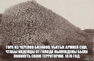 Капиталист - главный и единственный варвар на планете...