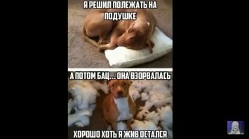 25 фотороботов прелестных подозреваемых в совершении преступлений по уничтожению домашнего порядка