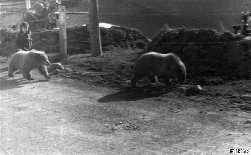 дополнение к изложенным фактам. 1 фото 2000-е годы, 2 Фото фактические. ч/б 70-х годов ХХ века