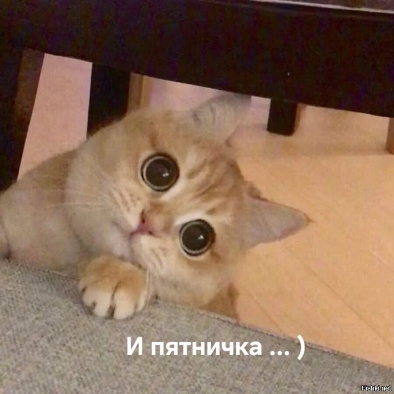 Доброго утра