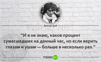 Жительница Коннектикута получила 12 лет тюрьмы за стрельбу в полицейском участке