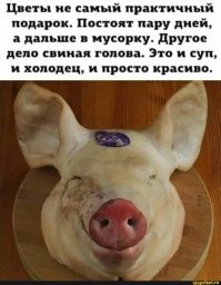 Одобряю, конечно!