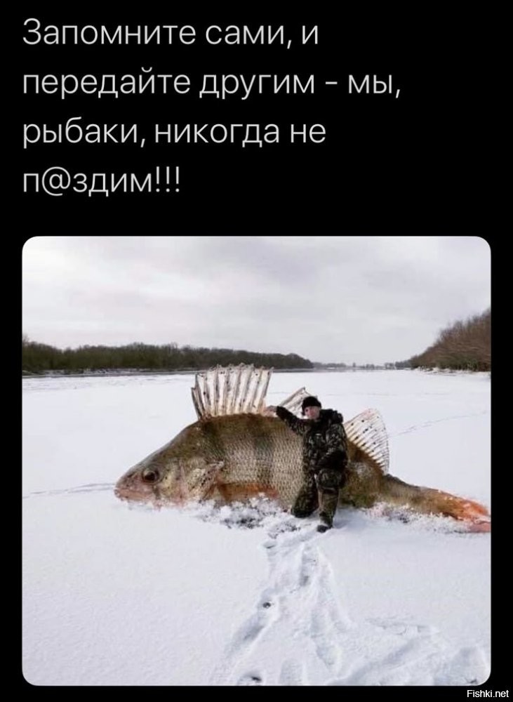 Девушка демонстрирует впечатляющий улов